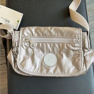Kipling Purse -Metallic Silver